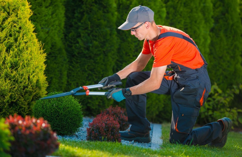 How To Achieve Effective Garden Maintenance For Your Home