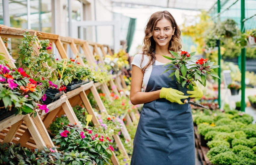 What Is Plant Selection And How To Choose The Right Plants For Your Home